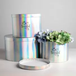 Набор шляпных коробок для цветов 3 в 1 с голографией