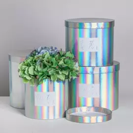 Набор шляпных коробок для цветов 4 в 1 с голографией