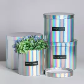 Набор шляпных коробок для цветов 4 в 1 с голографией