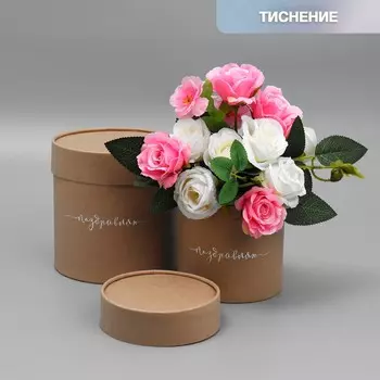 Набор шляпных коробок из крафта 2 в 1, упаковка подарочная,