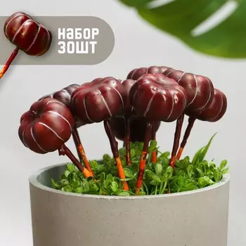 Топперы для творчества take it easy