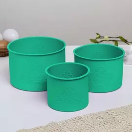 Силиконовая форма