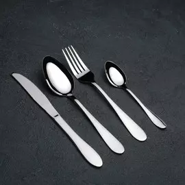 Набор столовых приборов из нержавеющей стали доляна