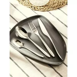 Набор столовых приборов из нержавеющей стали magistro