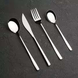 Столовые приборы magistro