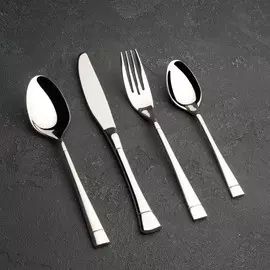 Столовые приборы magistro