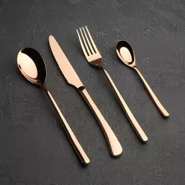 Набор столовых приборов из нержавеющей стали magistro