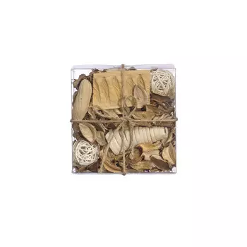 Набор сухоцветов из натуральных материалов