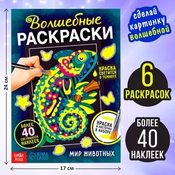 Набор светящаяся раскраска с наклейками