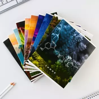 Набор тетрадей 48 листов, 10 предметов со справочным материалом