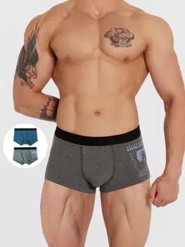 Набор трусов мужских боксеров , 2 шт