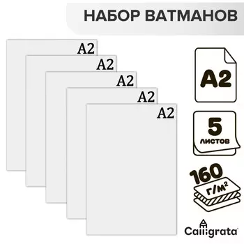 Набор ватманов чертежных а2, 160 г/м, 5 листов