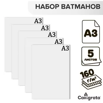 Набор ватманов чертежных а3, 160 г/м, 5 листов