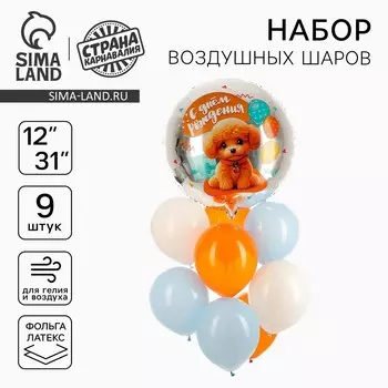 Шары воздушные, набор