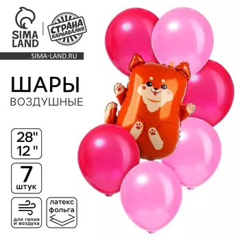 Шары воздушные, набор