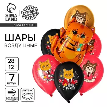 Шары воздушные, набор