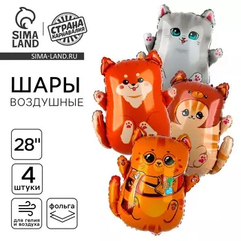 Шары воздушные, набор