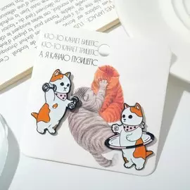 Набор значков (2шт)