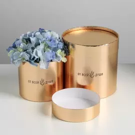 Набор золотых шляпных коробок 2 в 1, упаковка подарочная,