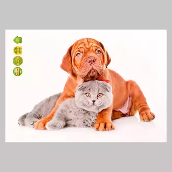 Интерьерная наклейка 3д take it easy