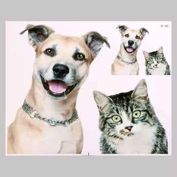 Интерьерная наклейка 3д take it easy