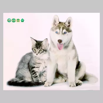 Интерьерная наклейка 3д take it easy