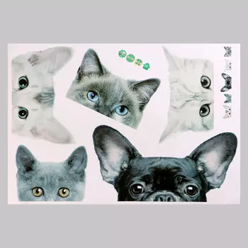 Интерьерная наклейка 3д take it easy