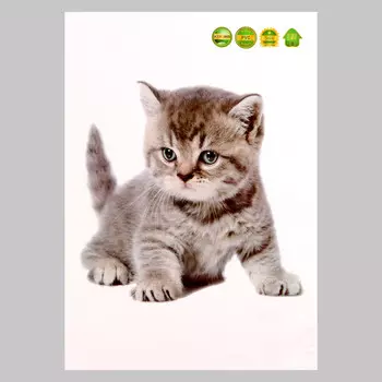 Интерьерная наклейка 3д take it easy