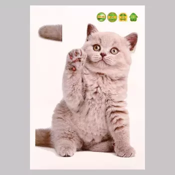 Интерьерная наклейка 3д take it easy