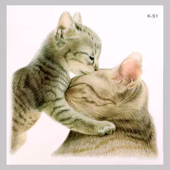 Интерьерная наклейка 3д take it easy