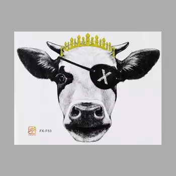 Наклейка пластик интерьерная цветная