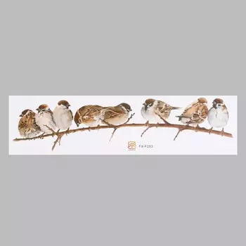 Наклейка пластик интерьерная цветная