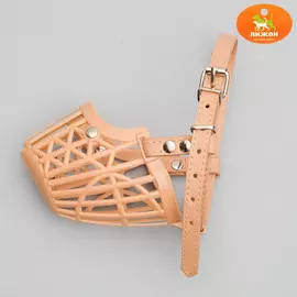 Намордник пластиковый №2 с ошейником из эко кожи ом 20 см дн 6 см ош 35-47 см