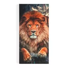 Настольная игра 2 в 1