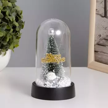 Ночник колба