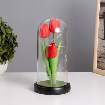 Ночник колба