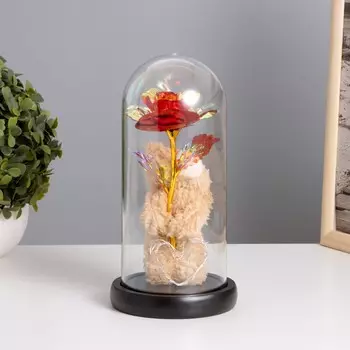 Ночник колба