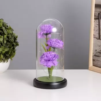 Ночник колба