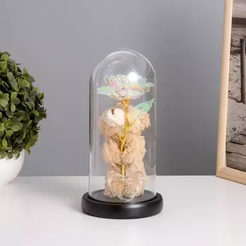 Ночник колба