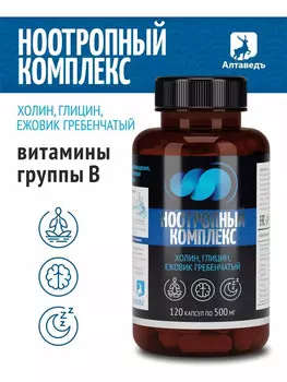 Ноотропный комплекс/ улучшение работы мозга и памяти/ежевик гребенчатый