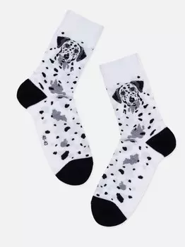 Носки женские БРЕСТСКИЕ PETS 21С4200