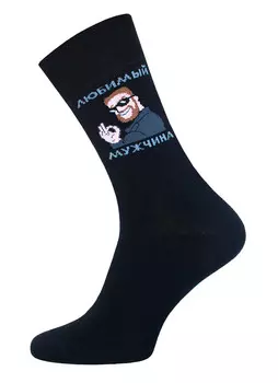 Носки мужские БРЕСТСКИЕ CLASSIC 20С2146