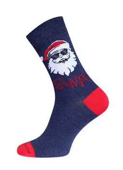 Носки мужские БРЕСТСКИЕ CLASSIC 20С2146