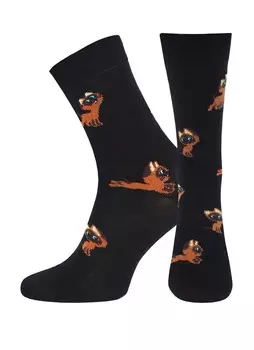 Носки мужские БРЕСТСКИЕ Котенок Гав 23С2155