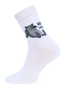 Носки мужские БРЕСТСКИЕ СОЮЗМУЛЬТФИЛЬМ 23С2155