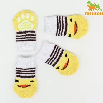 Носки нескользящие, размер m (3/47.5 см), набор 4 шт., цыпленок