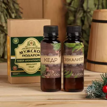 Новый год. набор ароматизаторов 2 шт по 100 мл