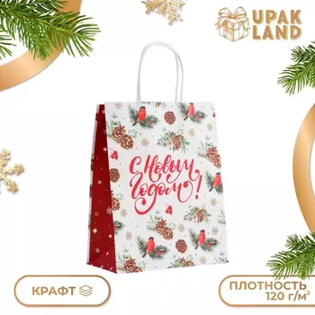 Новый год. пакет бумажный подарочный новогодний крафт
