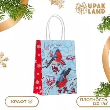 Пакет бумажный подарочный новогодний крафт