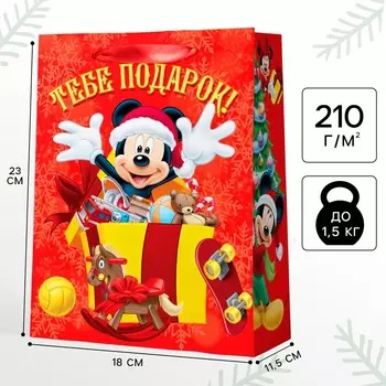 Пакет подарочный новогодний, 23 х 18 х 11.5 см, упаковка, микки маус